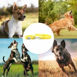 Ksalfye Red Dingo Designer Dog Collar, Petit -nourriture pour chien boutique 537388020 max