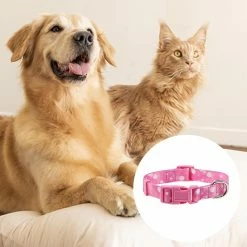 Ksalfye 2 Pièces Cat And Dog Collar Set Et Fun Leash Set Pet Gift Réglable Dog Stripe Collar, 7 Ksalfye 2 Pièces Cat And Dog Collar Set Et Fun Leash Set Pet Gift Réglable Dog Stripe Collar, -nourriture pour chien boutique 537391810 max