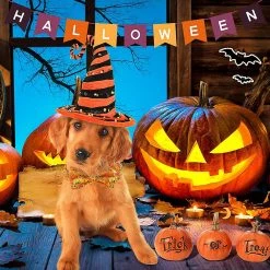 Lyjh 2 Pcs Halloween Dog Et Cat Collar Avec Arc Réglable Comcompatible Avectable Halloween Dog -nourriture pour chien boutique 540702661 max