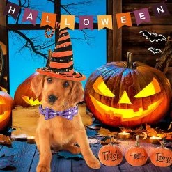 Lyjh 2 Pcs Halloween Dog Et Cat Collar Avec Arc Réglable Comcompatible Avectable Halloween Dog -nourriture pour chien boutique 540702699 max