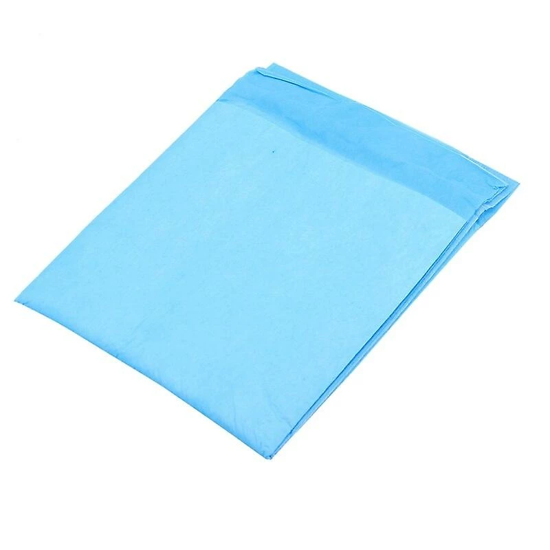 Unbranded 100pcs Super Absorbant Pet Diaper Dog Training Pee Pads Jetable Healthy Nappy Mat Pour Dog Cats 3 Unbranded 100pcs Super Absorbant Pet Diaper Dog Training Pee Pads Jetable Healthy Nappy Mat Pour Dog Cats – Image 3