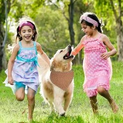 Unbranded 4pcs Dog Bandanas Été Mignon Doux Coton Chiot Chat Foulards Lavables Quotidien Mouchoir Cadeaux Confortables 8 Unbranded 4pcs Dog Bandanas Été Mignon Doux Coton Chiot Chat Foulards Lavables Quotidien Mouchoir Cadeaux Confortables -nourriture pour chien boutique 543228518 max