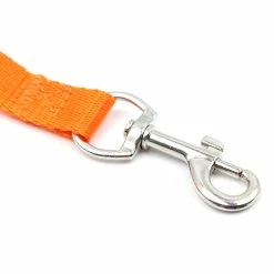 Unbranded Universal Portable Pet Supplies Durable Outdoor Walking Home Dog Leash Anti Lost -nourriture pour chien boutique 543272546 max