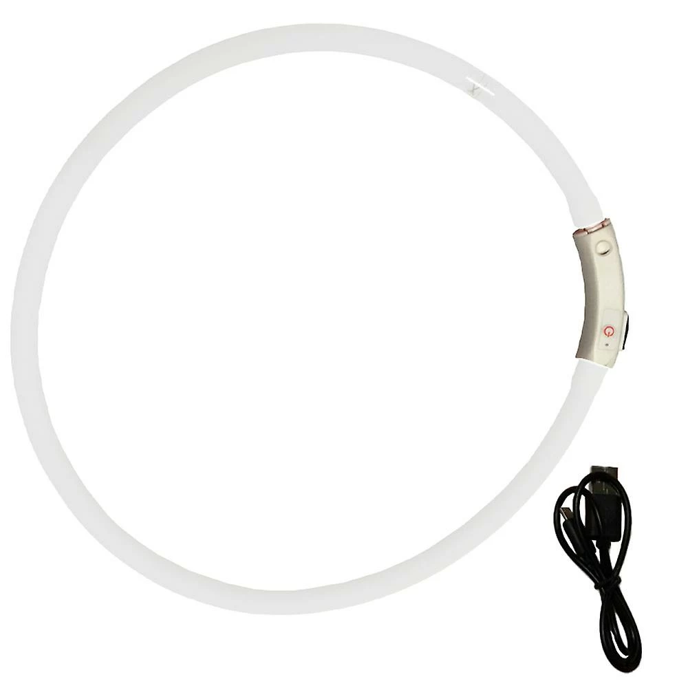 Lyjh Dog Collar Light - Collier Pour Chiot Rechargeable, Collier Pour Animal De Compagnie Brillant, Compatible Avec Les Petits Chiens De Taille Moyenne 1 Lyjh Dog Collar Light - Collier Pour Chiot Rechargeable, Collier Pour Animal De Compagnie Brillant, Compatible Avec Les Petits Chiens De Taille Moyenne