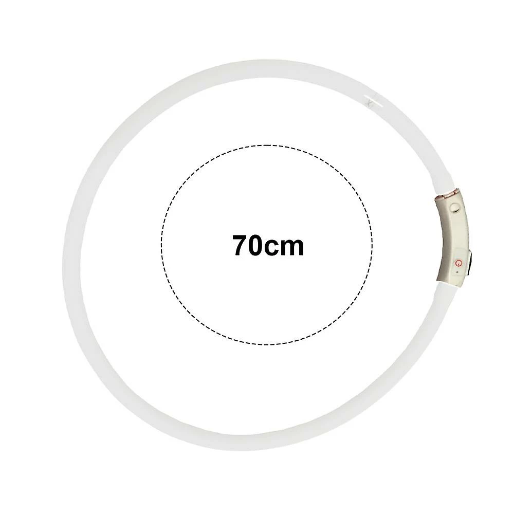 Lyjh Dog Collar Light - Collier Pour Chiot Rechargeable, Collier Pour Animal De Compagnie Brillant, Compatible Avec Les Petits Chiens De Taille Moyenne 2 Lyjh Dog Collar Light - Collier Pour Chiot Rechargeable, Collier Pour Animal De Compagnie Brillant, Compatible Avec Les Petits Chiens De Taille Moyenne – Image 2