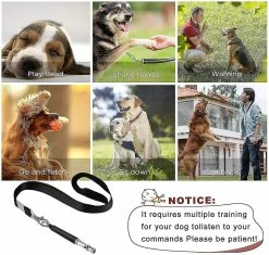 Unbranded Sifflet De Chien, 2022 Nouveau 2pcs Ultrasonic Dog Whistle Pour Arrêter Les Aboiements Voisins Chien, Outils De Dressage De Sifflet De Chien Silencieux Réglables Professionnellement Pour Chiens 9 Unbranded Sifflet De Chien, 2022 Nouveau 2pcs Ultrasonic Dog Whistle Pour Arrêter Les Aboiements Voisins Chien, Outils De Dressage De Sifflet De Chien Silencieux Réglables Professionnellement Pour Chiens -nourriture pour chien boutique 544555731 max