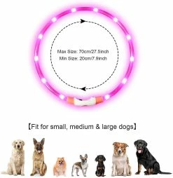 Unbranded Light Up Dog Collar, Clignotant Led Dog Collar Light, Usb Rechargeable Sécurité Dog Collar Lights Pour Le -nourriture pour chien boutique 545951620 max