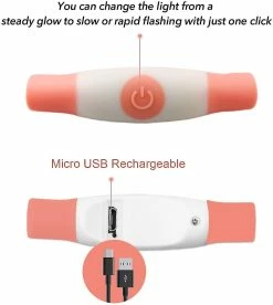 Unbranded Light Up Dog Collar, Clignotant Led Dog Collar Light, Usb Rechargeable Sécurité Dog Collar Lights Pour Le -nourriture pour chien boutique 545951628 max
