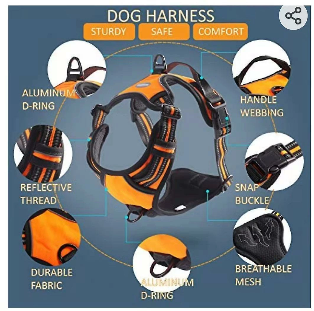 AFFINEST No-Pull Dog Harnais Rembourré Réglable Vet Harnais Pour Gros Chiens Dressage Ou Marche HZYali-66 2 AFFINEST No-Pull Dog Harnais Rembourré Réglable Vet Harnais Pour Gros Chiens Dressage Ou Marche HZYali-66 – Image 2