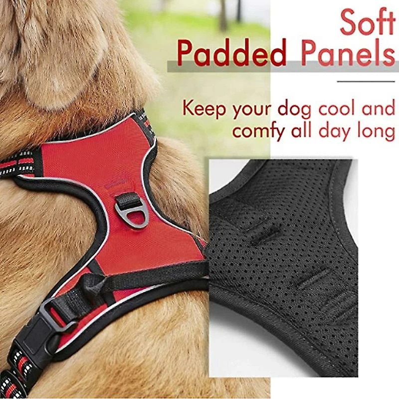 AFFINEST No-Pull Dog Harnais Rembourré Réglable Vet Harnais Pour Gros Chiens Dressage Ou Marche HZYali-66 3 AFFINEST No-Pull Dog Harnais Rembourré Réglable Vet Harnais Pour Gros Chiens Dressage Ou Marche HZYali-66 – Image 3