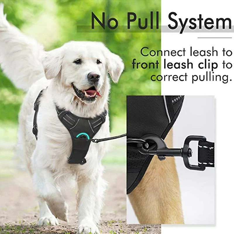 AFFINEST No-Pull Dog Harnais Rembourré Réglable Vet Harnais Pour Gros Chiens Dressage Ou Marche HZYali-66 5 AFFINEST No-Pull Dog Harnais Rembourré Réglable Vet Harnais Pour Gros Chiens Dressage Ou Marche HZYali-66 – Image 5