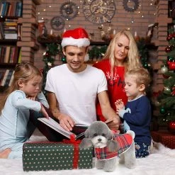 Lifepieces Dog Cat Christmas Costumewinter Hoodies Cape Pet Clothing Red Plaid Christmas Pet Clothes Warm Dog Costume Red1pc 9 Lifepieces Dog Cat Christmas Costumewinter Hoodies Cape Pet Clothing Red Plaid Christmas Pet Clothes Warm Dog Costume Red1pc -nourriture pour chien boutique 550178618 max