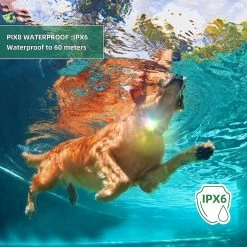 Boom Led Light Up Collar Dog Suspension Rechargeable Étanche 4 Modes Couleur Réglable Sur Collier Laisse, Noir 8 Boom Led Light Up Collar Dog Suspension Rechargeable Étanche 4 Modes Couleur Réglable Sur Collier Laisse, Noir -nourriture pour chien boutique 550205125 max