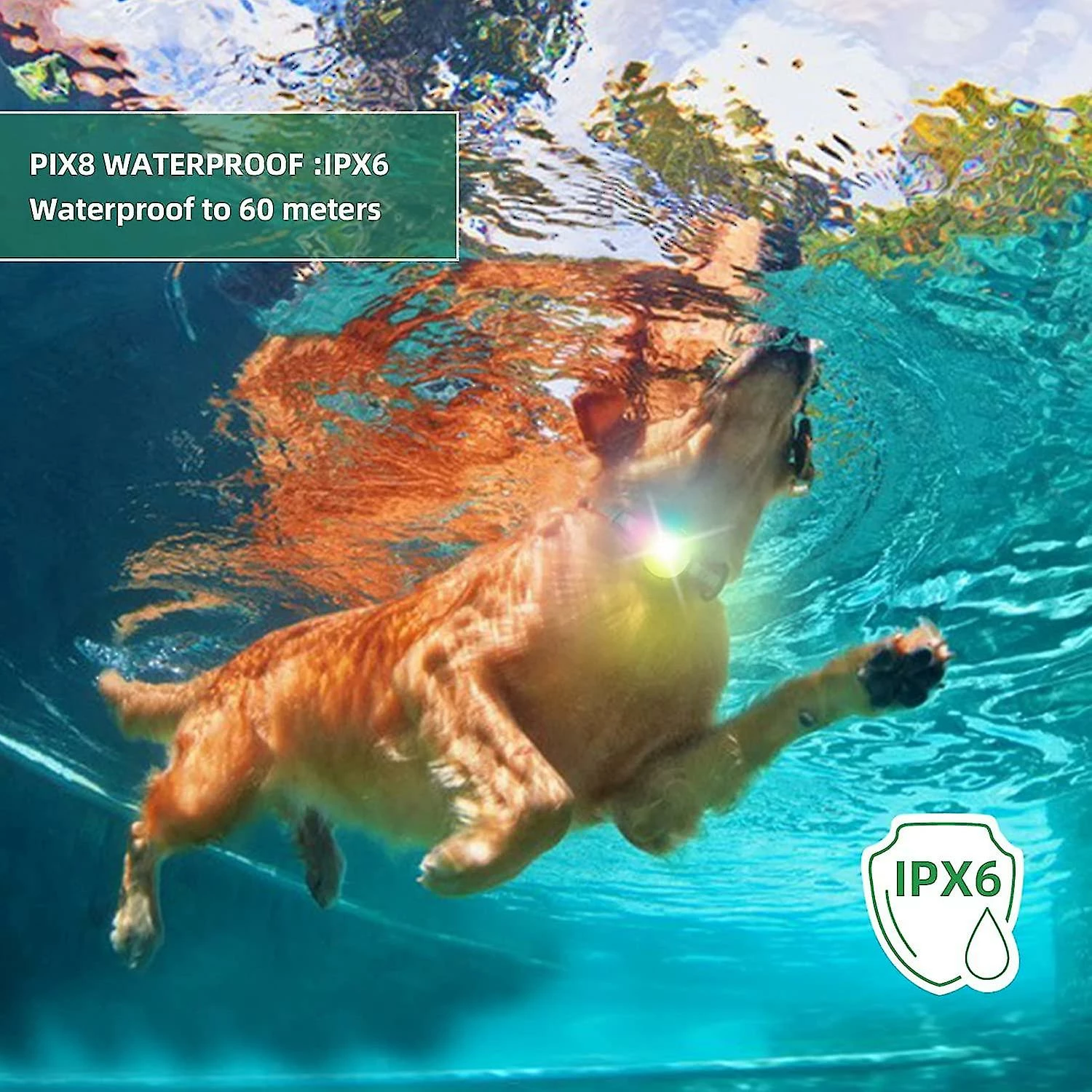 Boom Led Light Up Collar Dog Suspension Rechargeable Étanche 4 Modes Couleur Réglable Sur Collier Laisse, Noir 4 Boom Led Light Up Collar Dog Suspension Rechargeable Étanche 4 Modes Couleur Réglable Sur Collier Laisse, Noir – Image 4