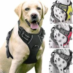 Boom No-pull Dog Harness Padded Adjustable Pet Vest Harness For Large Dogs Training Or Walking - 45-65cm,, Red 5 Boom No-pull Dog Harness Padded Adjustable Pet Vest Harness For Large Dogs Training Or Walking - 45-65cm,, Red -nourriture pour chien boutique 550205574 max