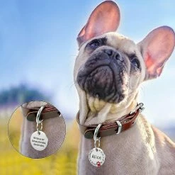 Unbranded 25mm Métal Vierge Dog Tag Patte Strass Pet Cat Nom Gravé Porte-clés Chain Jikaix -nourriture pour chien boutique 552547570 max