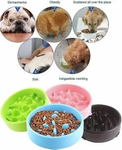 Sl Chang Slow Feeding Dog Bowl Slow Feeding Dog Bowl Les Mangeoires Et Les Buveurs Pour Chiens Favorisent Une Alimentation Saine 8 Sl Chang Slow Feeding Dog Bowl Slow Feeding Dog Bowl Les Mangeoires Et Les Buveurs Pour Chiens Favorisent Une Alimentation Saine -nourriture pour chien boutique 554966897 max