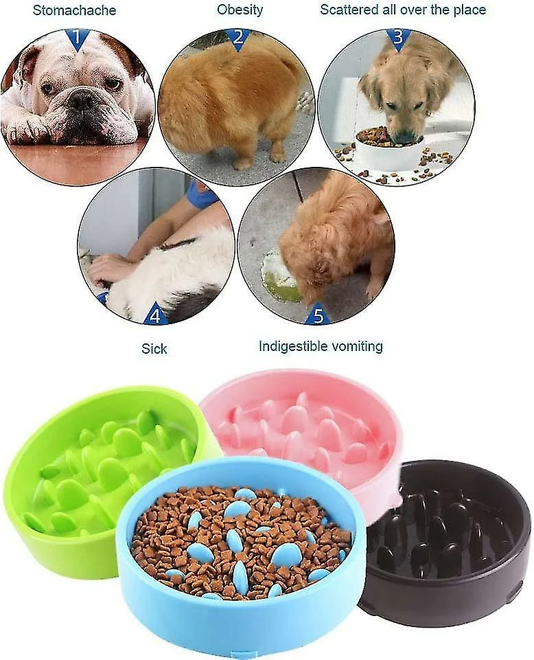 Sl Chang Slow Feeding Dog Bowl Slow Feeding Dog Bowl Les Mangeoires Et Les Buveurs Pour Chiens Favorisent Une Alimentation Saine 4 Sl Chang Slow Feeding Dog Bowl Slow Feeding Dog Bowl Les Mangeoires Et Les Buveurs Pour Chiens Favorisent Une Alimentation Saine – Image 4
