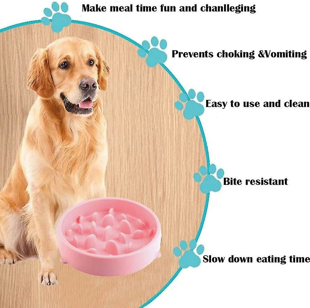 Sl Chang Slow Feeding Dog Bowl Slow Feeding Dog Bowl Les Mangeoires Et Les Buveurs Pour Chiens Favorisent Une Alimentation Saine 5 Sl Chang Slow Feeding Dog Bowl Slow Feeding Dog Bowl Les Mangeoires Et Les Buveurs Pour Chiens Favorisent Une Alimentation Saine – Image 5