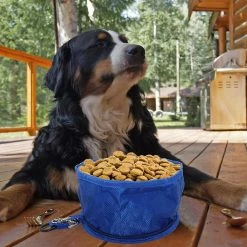 Giveuphesit Dog Bowl Travel Bowls Pliable Pour Chien De Compagnie, étanche Portable Sur Le Pouce Avec Bol D’alimentation à Fermeture à Glissière Et Bol à Boire (2 Bols De Voyage) -nourriture pour chien boutique 555413437 max