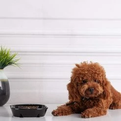 Giveuphesit Dog Slow Feeder Céramique Cat Dog Bowl Dog Dish Slow Feeding Food Bowls Pour Bulldog Puppy Medium Dogs Pet Diet -nourriture pour chien boutique 558351475 max