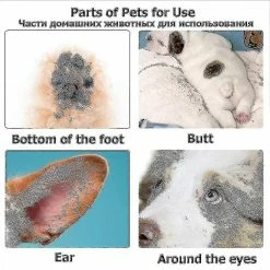 Sl Chang Tondeuses Pour Chiens Professionnel Pet Foot Hair Trimmer Dog Growth Scissors Usb Rechargeable Butt Ear Eye Hair Clipper -nourriture pour chien boutique 559382643 max