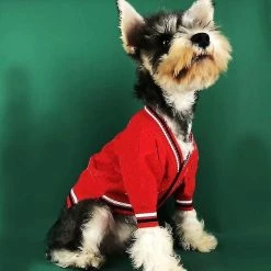 Unbranded Cht-dog Sweater Pet Sweater Designer Vêtements Français Bulldog Schnauzer Caniche Teddy Dog Vêtements Pour Grands Chiens Drop Zy3018 -nourriture pour chien boutique 560375009 max