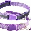 Unbranded 2-pcs Empreinte Et Collier De Chat Réfléchissant Avec Bell Basic Dog Cat Collar