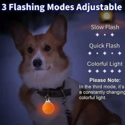 Unbranded Led Dog Safety Light, Clip-on Led 3 Modes De Lumière Dog Lights Pour Night W 8 Unbranded Led Dog Safety Light, Clip-on Led 3 Modes De Lumière Dog Lights Pour Night W -nourriture pour chien boutique 567451014 max