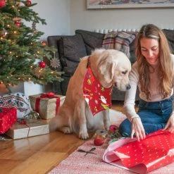 Unbranded Christmas Dog Bandanas, 3 Pack Christmas Pet Scarf Xmas Dog Santa Outfits Triangle Bibs, Pets Costume Accessories Bow Ties Decoration For Small Medium -nourriture pour chien boutique 569146154 max