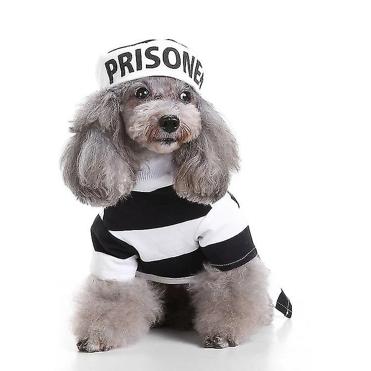 Unbranded Small Pet Dogs Clothing Pet Dog Clothes Puppy Chihuahua Clothes 1 Unbranded Small Pet Dogs Clothing Pet Dog Clothes Puppy Chihuahua Clothes