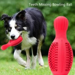 Unbranded Dog Chew Toys Bowling Bottle Shape Rubber Leak Food Toy Pour Le Nettoyage Des Dents -nourriture pour chien boutique 572185643 max