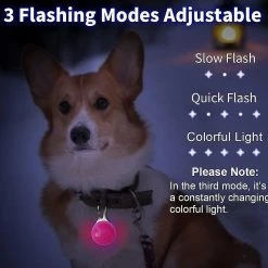 Unbranded Led Dog Safety Light, Clip-on Led 3 Modes De Lumière Dog Lights Pour Night W -nourriture pour chien boutique 572636856 max