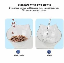 Unbranded Bol De Nourriture Antidérapant Avec Stand Cat Dog Water Bowl 6 Unbranded Bol De Nourriture Antidérapant Avec Stand Cat Dog Water Bowl -nourriture pour chien boutique 573752510 max
