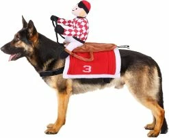 Unbranded Pet Race Horse Halloween Party Dog Costume Drôle D’animal De Compagnie Cosplay -nourriture pour chien boutique 573778992 max