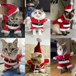 Unbranded Jingdong New Fashion Xmas Vêtements Pour Animal De Compagnie Drôle Manteau Tridimensionnel Puppy Dog Vêtements De Noël Père Noël Costume Debout Pour Chat -nourriture pour chien boutique 574899753 max