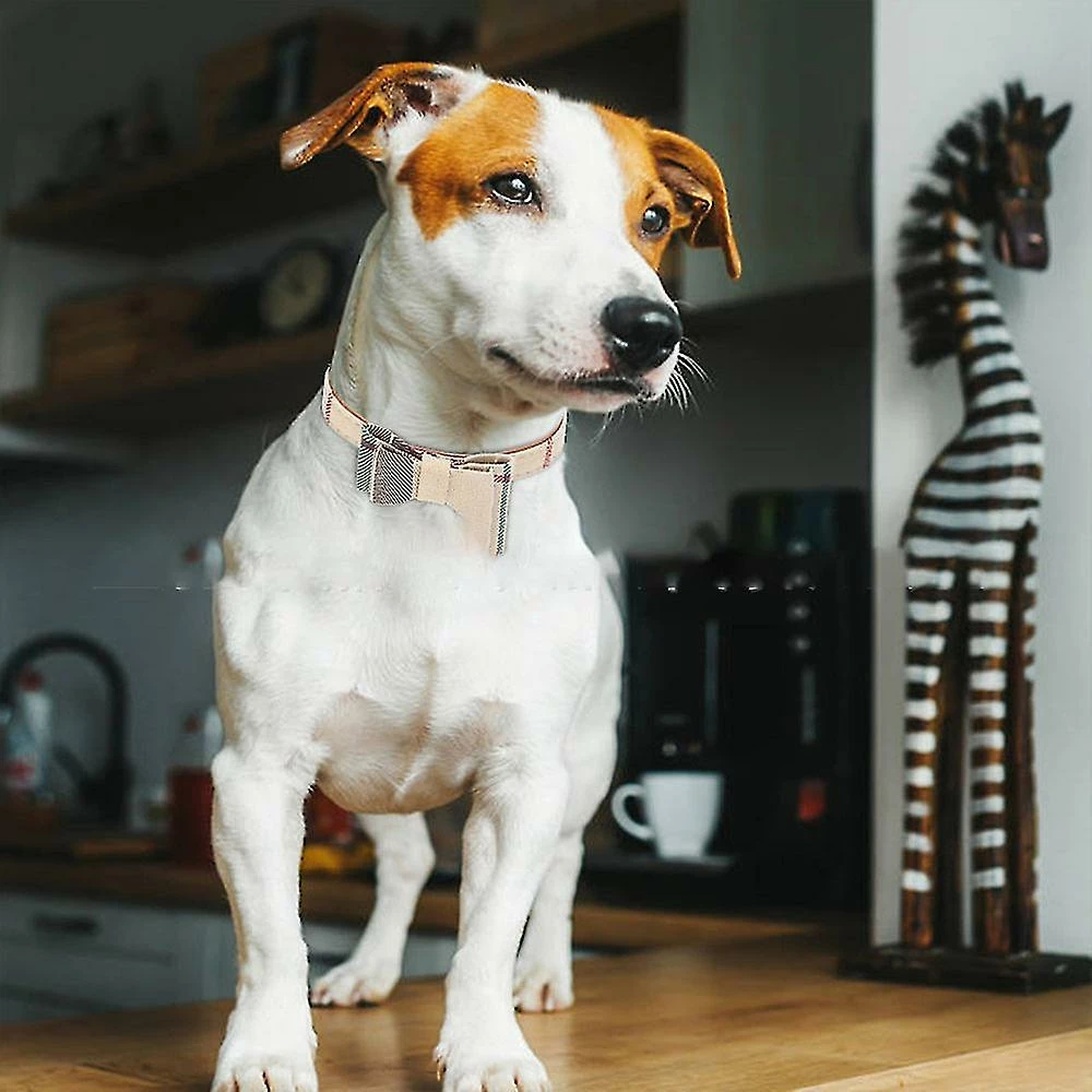 Unbranded 3pcsdog Collier Et Laisse Chien Nœud Papillon Avec Bell Dog Bandana Peau De Chien Collier Chien Chien 3 Unbranded 3pcsdog Collier Et Laisse Chien Nœud Papillon Avec Bell Dog Bandana Peau De Chien Collier Chien Chien – Image 3