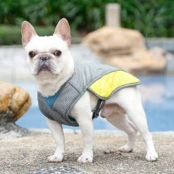Dog Apparel Pet Cooling Vest, Healwe Reflective Vest Dog Jacket Cooler Summer For Small -nourriture pour chien boutique 587626334 max
