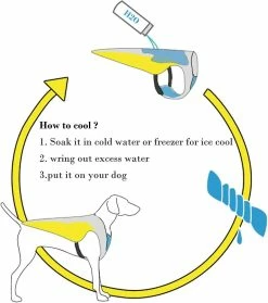 Dog Apparel Pet Cooling Vest, Healwe Reflective Vest Dog Jacket Cooler Summer For Small -nourriture pour chien boutique 587626527 max