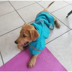 Dog Apparel Bleu Foncé, Healwe L Grands Imperméables Pour Chiens Avec Capuche Réfléchissante, Healwe Dog Rain -nourriture pour chien boutique 587631321 max