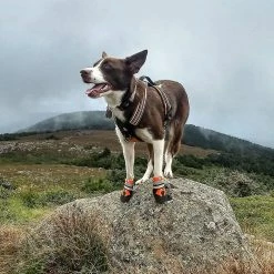 Unbranded Tflycqdog Boots For Dogs Non-slip, Waterproof Dog Booties For Outdoor, Dog Shoes For Medium To Large Dogs With Rugged Sole -nourriture pour chien boutique 588491718 max