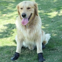 Unbranded Tflycq4pcs Set Dog Boots,waterproof Dog Shoes,dog Booties With Reflective Velcro Rugged Anti-slip Sole And Skid-proof,outdoor Dog Shoes For Medium To -nourriture pour chien boutique 588492221 max