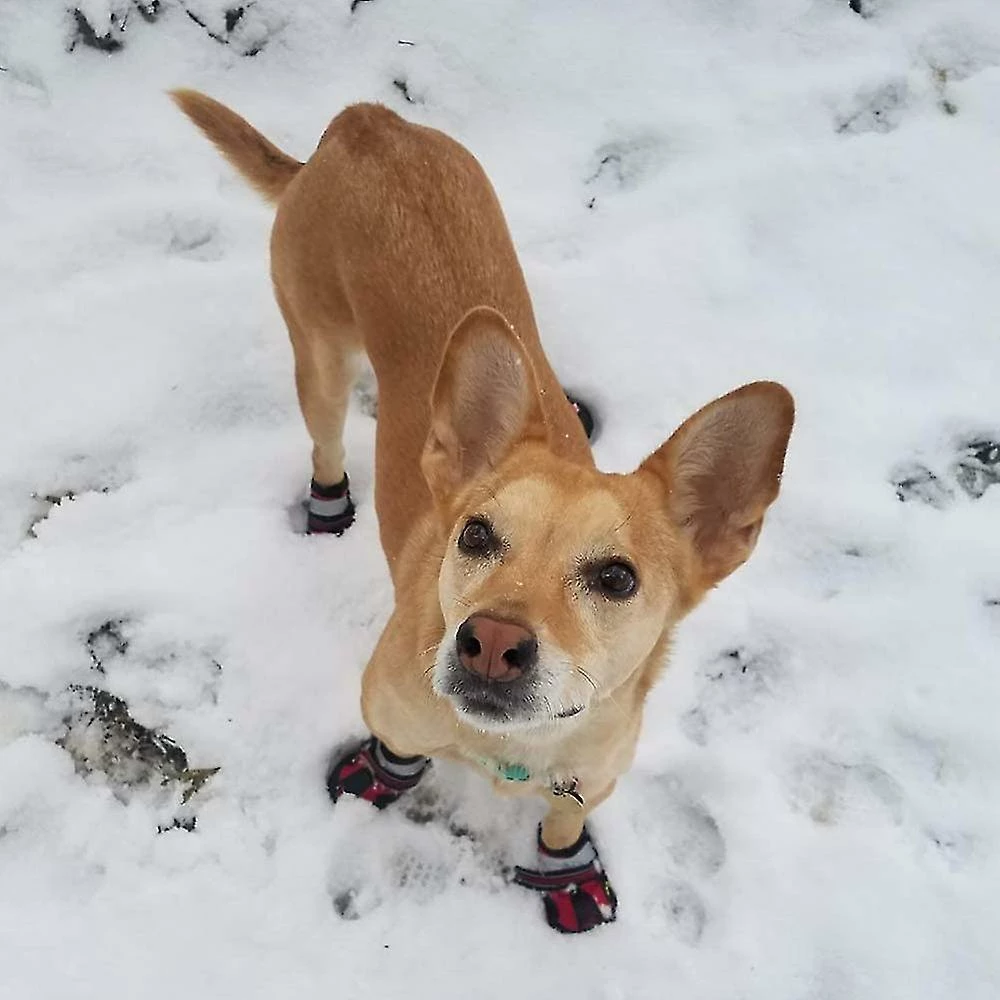 Unbranded Tflycqdog Boots Waterproof For Dog With Reflective Velcro Rugged Anti-slip Sole And Skid-proof Outdoor Paw Wear For Medium To Large Dogs 3 Unbranded Tflycqdog Boots Waterproof For Dog With Reflective Velcro Rugged Anti-slip Sole And Skid-proof Outdoor Paw Wear For Medium To Large Dogs – Image 3