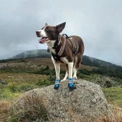 Unbranded Tflycqdog Boots For Dogs Non-slip, Waterproof Dog Booties For Outdoor, Dog Shoes For Medium To Large Dogs With Rugged Sole -nourriture pour chien boutique 588493316 max