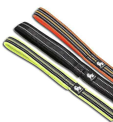 Hua Hui Truelove Outdoor Dog Strap Nylon Mesh Paded Pet Leash 110 X 2.5cm - Bleu / L Taille 2 Hua Hui Truelove Outdoor Dog Strap Nylon Mesh Paded Pet Leash 110 X 2.5cm - Bleu / L Taille – Image 2