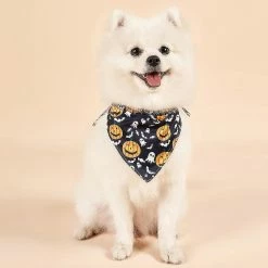 Unbrand Halloween Dog Bandanas Pet Bib Bandanas Citrouille Pet Scarf Washable Dog Bib Costume [taille: L] - Sorcière / Citrouille -nourriture pour chien boutique 595574247 max
