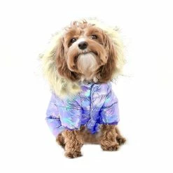 Unbrand Tg-cl061 Pet Dog Colorful Laser Hoodie Coat Imperméable Winter Puppy Outwear Costumes - Violet / Taille 12 -nourriture pour chien boutique 595591279 max