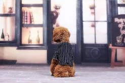 Unbranded Dog Tuxedo Dog Suit, Dogs Tuxedo Wedding Party Suit, Dog Prince Wedding Bow Tie Shirt Tenue Formelle De Mariage Pour Petits Chiens Bulldogs(1 Pack, S) -nourriture pour chien boutique 596736189 max