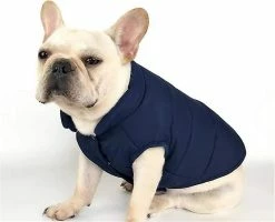 Unbranded Blue L Dog Manteau D’hiver Set Dog Warm Winter Jacket Doublé Manteau Français Bulldog Karin Dog Dress Vest -nourriture pour chien boutique 596736375 max