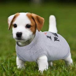 Unbranded 3 Pièces Chien T-shirt Puppy Print Shirt Respirant Pet Clothes Mignon Dog Clothes Sleeveless Dog Vest Dog Cat Summer Clothes (l) 8 Unbranded 3 Pièces Chien T-shirt Puppy Print Shirt Respirant Pet Clothes Mignon Dog Clothes Sleeveless Dog Vest Dog Cat Summer Clothes (l) -nourriture pour chien boutique 596736707 max